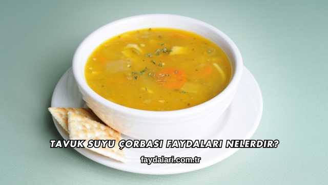 Tavuk Suyu Çorbası Faydaları Nelerdir?