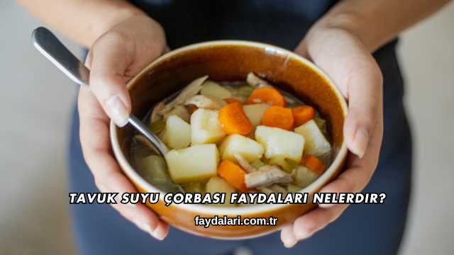Tavuk Suyu Çorbası Faydaları Nelerdir?
