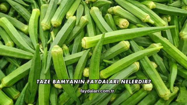 Taze Bamyanın Faydaları Nelerdir?