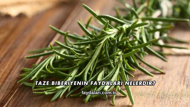 Taze Biberiyenin Faydaları Nelerdir?