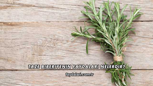 Taze Biberiyenin Faydaları Nelerdir?
