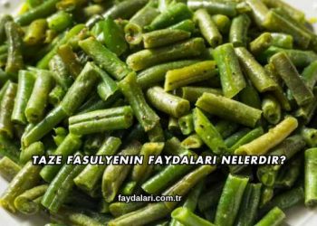Taze Fasulyenin Faydaları Nelerdir?