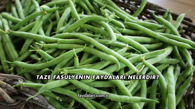 Taze Fasulyenin Faydaları Nelerdir?