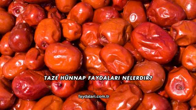 Taze Hünnap Faydaları Nelerdir?