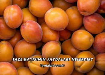 Taze Kayısının Faydaları Nelerdir?