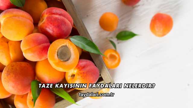 Taze Kayısının Faydaları Nelerdir?