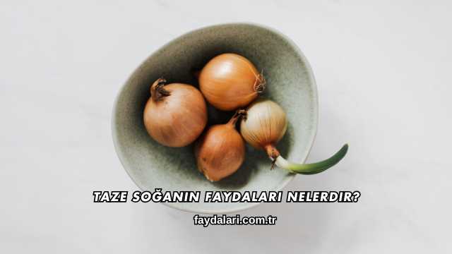 Taze Soğanın Faydaları Nelerdir?
