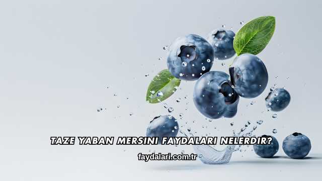 Taze Yaban Mersini Faydaları Nelerdir?