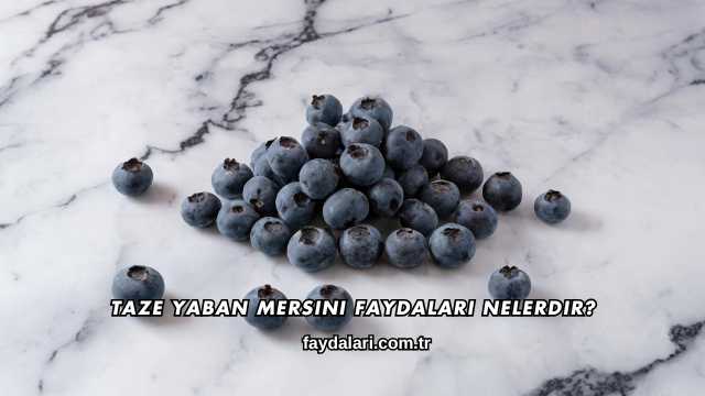 Taze Yaban Mersini Faydaları Nelerdir?