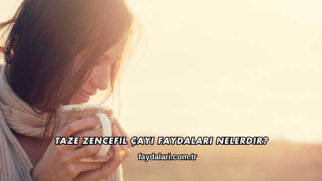 Taze Zencefil Çayı Faydaları Nelerdir?