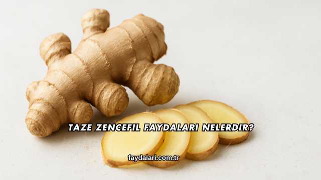 Taze Zencefil Faydaları Nelerdir?