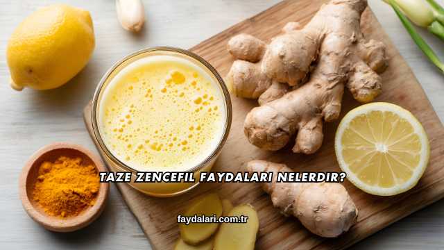 Taze Zencefil Faydaları Nelerdir?