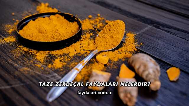 Taze Zerdeçal Faydaları Nelerdir?