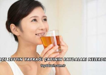 Taze Zeytin Yaprağı Çayının Faydaları Nelerdir?
