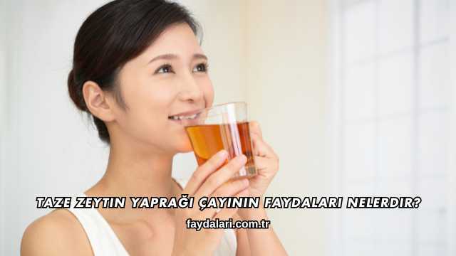 Taze Zeytin Yaprağı Çayının Faydaları Nelerdir?