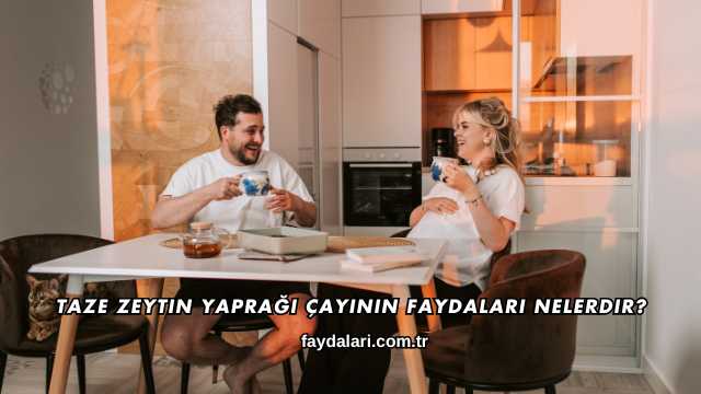 Taze Zeytin Yaprağı Çayının Faydaları Nelerdir?