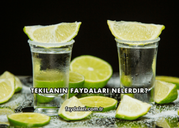Tekilanın Faydaları Nelerdir?
