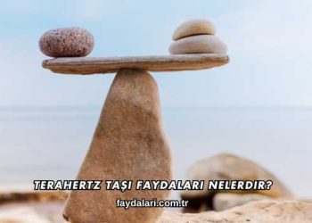 Terahertz Taşı Faydaları Nelerdir?