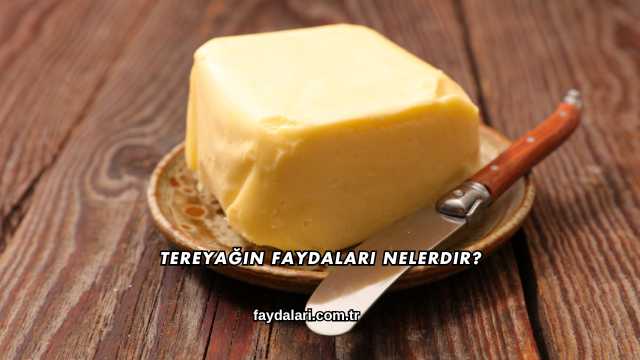 Tereyağın Faydaları Nelerdir?