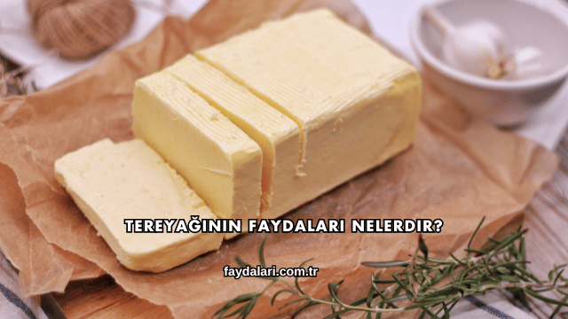 Tereyağının Faydaları Nelerdir?