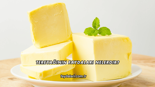 Tereyağının Faydaları Nelerdir?