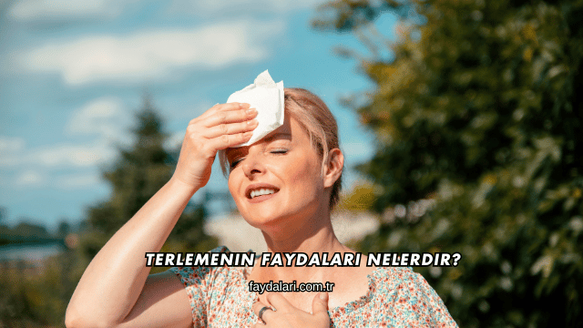 Terlemenin Faydaları Nelerdir?