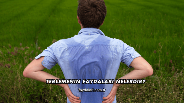 Terlemenin Faydaları Nelerdir?