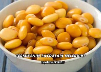 Termiyenin Faydaları Nelerdir?