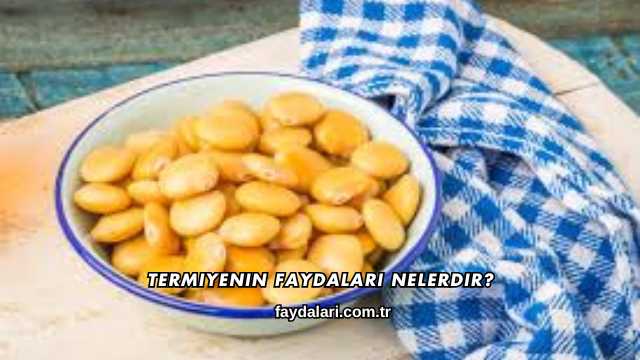 Termiyenin Faydaları Nelerdir?
