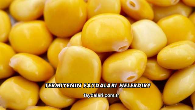 Termiyenin Faydaları Nelerdir?