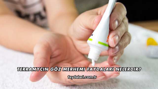 Terramycin Göz Merhemi Faydaları Nelerdir?