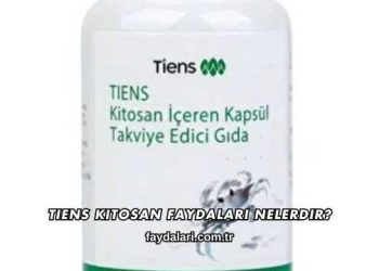 Tiens Kitosan Faydaları Nelerdir?