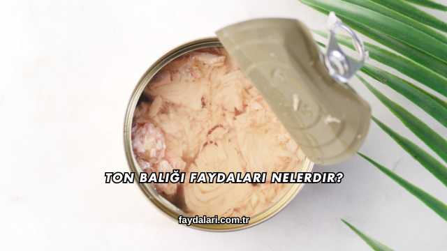 Ton Balığı Faydaları Nelerdir?