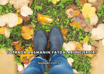 Toprağa Basmanın Faydaları Nelerdir?