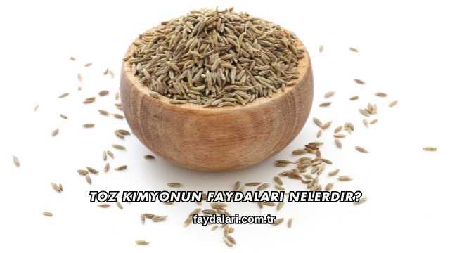 Toz Kimyonun Faydaları Nelerdir?