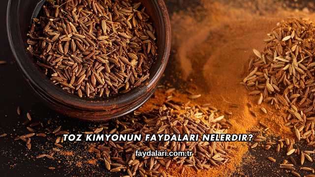 Toz Kimyonun Faydaları Nelerdir?