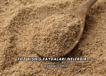 Toz Kişniş Faydaları Nelerdir?