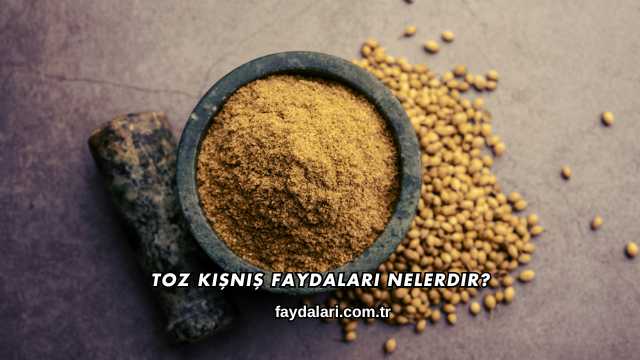 Toz Kişniş Faydaları Nelerdir?