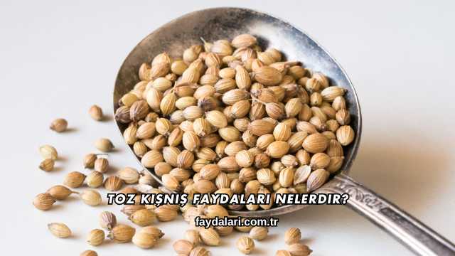 Toz Kişniş Faydaları Nelerdir?