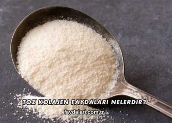 Toz Kolajen Faydaları Nelerdir?
