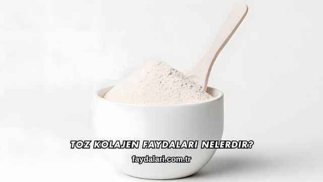 Toz Kolajen Faydaları Nelerdir?