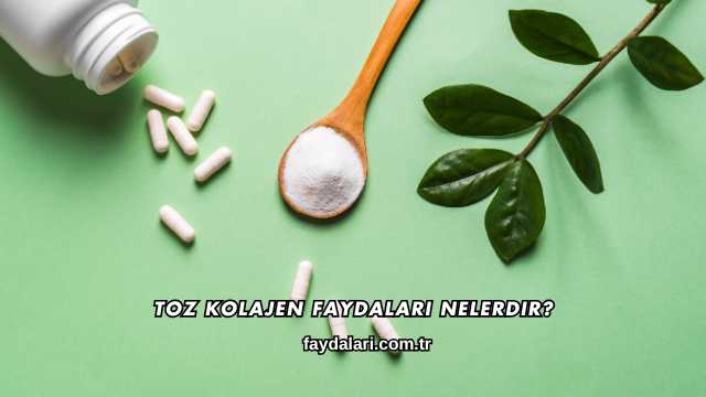 Toz Kolajen Faydaları Nelerdir?