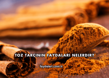 Toz Tarçının Faydaları Nelerdir?