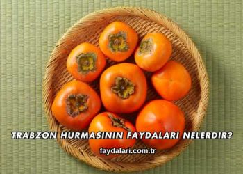 Trabzon Hurmasının Faydaları Nelerdir?