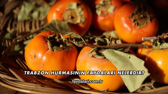 Trabzon Hurmasının Faydaları Nelerdir?
