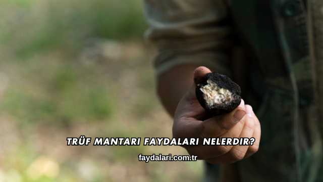 Trüf Mantarı Faydaları Nelerdir?