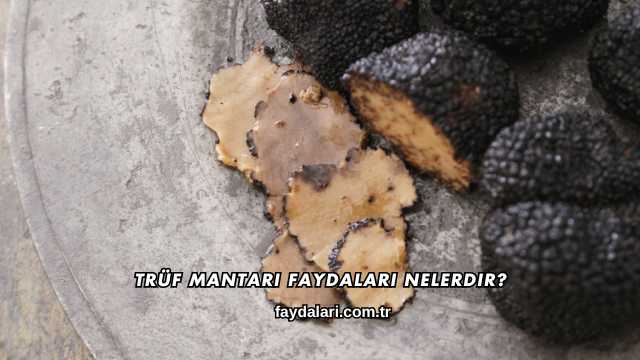 Trüf Mantarı Faydaları Nelerdir?
