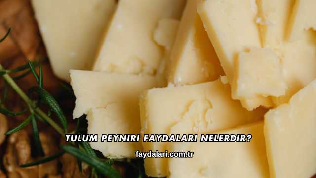 Tulum Peyniri Faydaları Nelerdir?