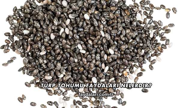 Turp Tohumu Faydaları Nelerdir?