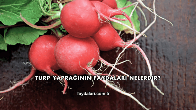 Turp Yaprağının Faydaları Nelerdir?